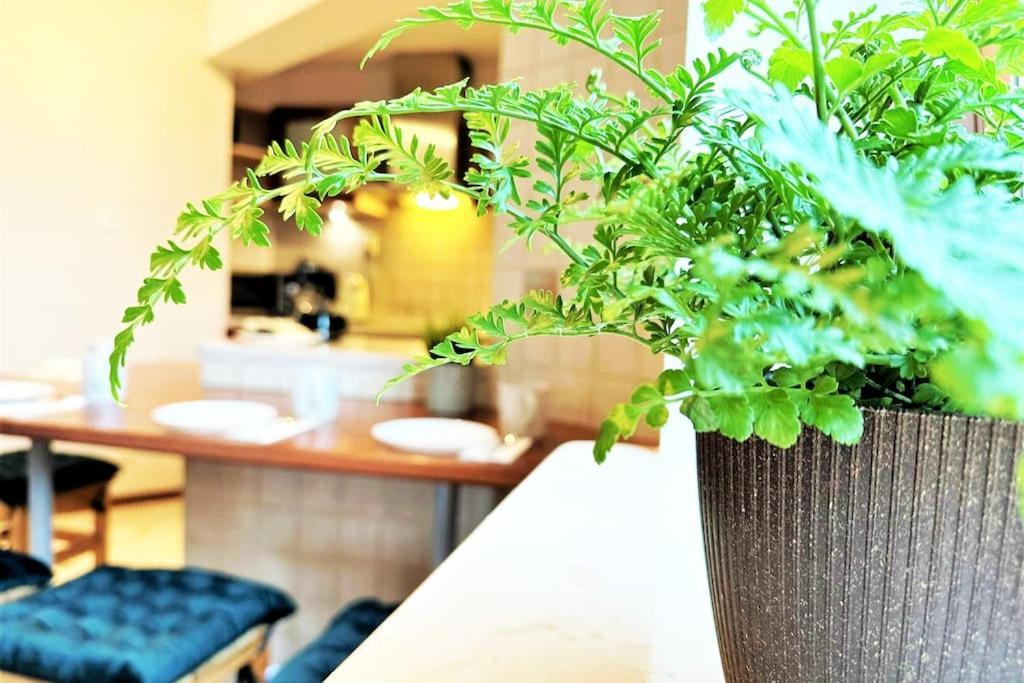 Exclusive Penthouse Near Citycenter 120M2 +Netflix Krakow Ngoại thất bức ảnh