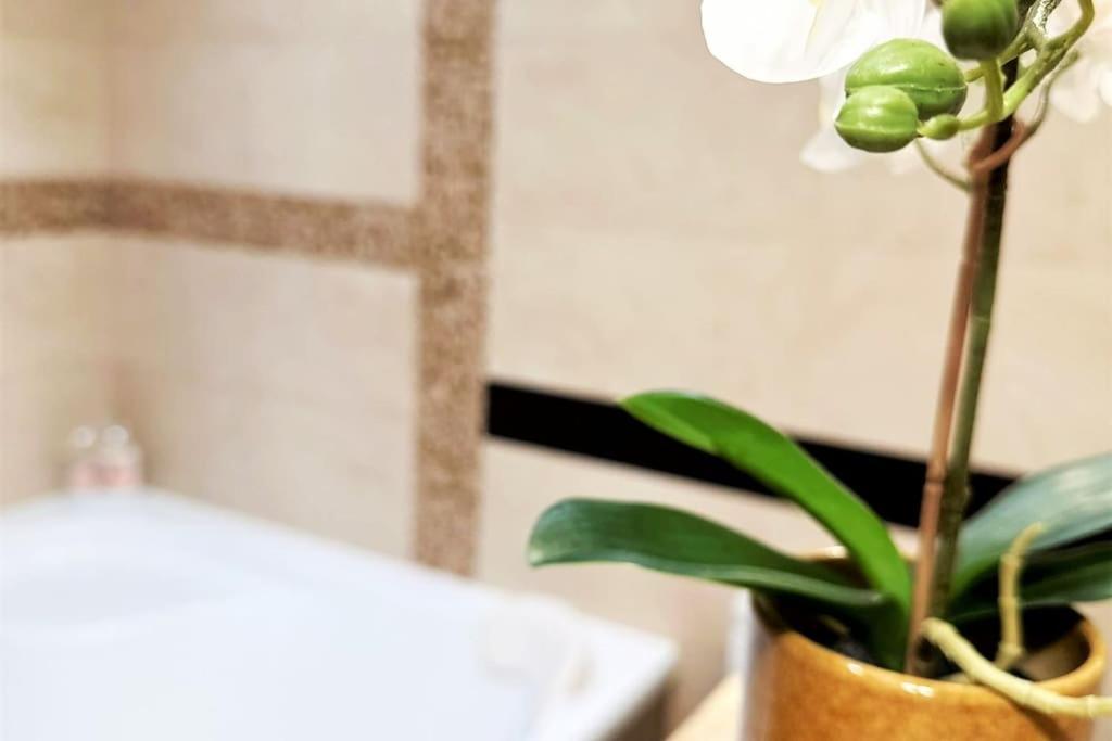 Exclusive Penthouse Near Citycenter 120M2 +Netflix Krakow Ngoại thất bức ảnh