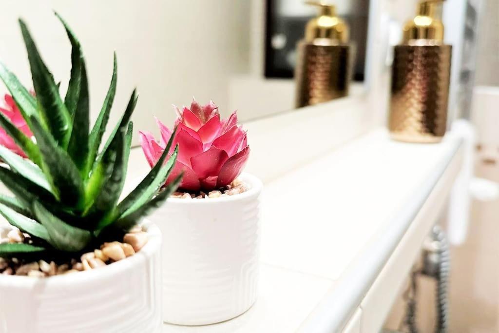 Exclusive Penthouse Near Citycenter 120M2 +Netflix Krakow Ngoại thất bức ảnh