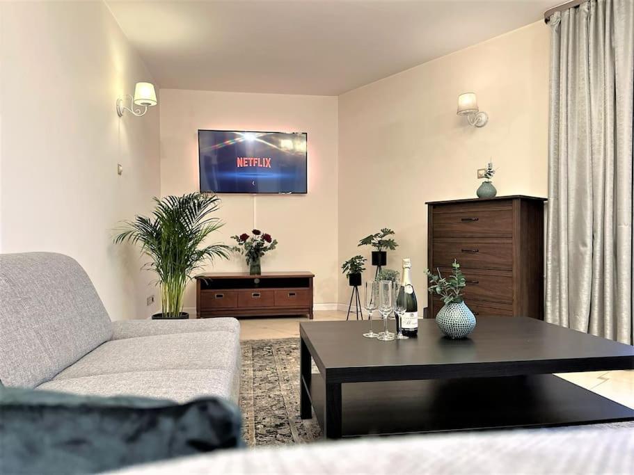 Exclusive Penthouse Near Citycenter 120M2 +Netflix Krakow Ngoại thất bức ảnh