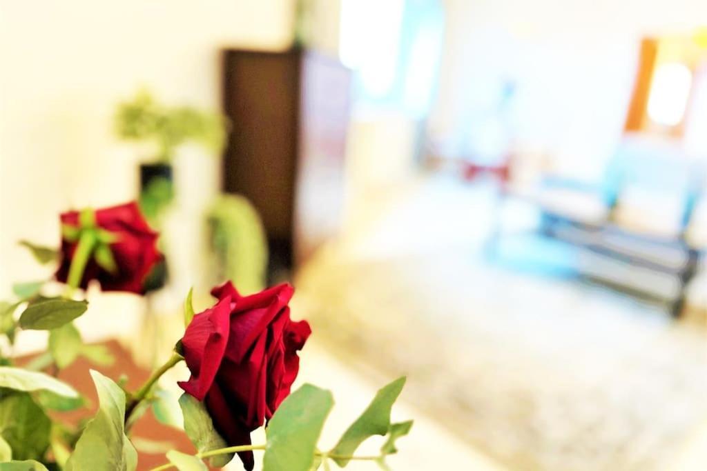 Exclusive Penthouse Near Citycenter 120M2 +Netflix Krakow Ngoại thất bức ảnh